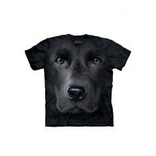 Big Face Black Labrador