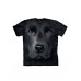 Big Face Black Labrador