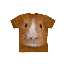 Big Face Guinea Pig