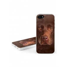 Big Face Chocolate Labrador Iphone Case (iphone 5)