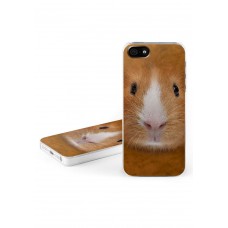Big Face Guinea Pig Iphone Case (iphone 5)