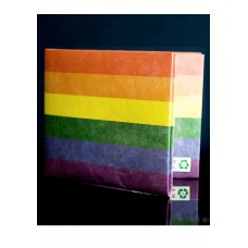 Mighty Tyvek Wallets (pride)