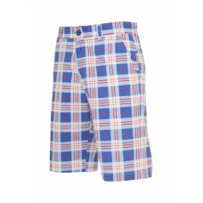 Checked White/royal/red