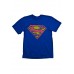 Dc Originals Superman Colour Logo