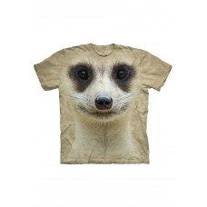 Big Face Meerkat