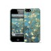 Gelaskin Hardcases For Iphone 5 - Almond Branches In Blossom