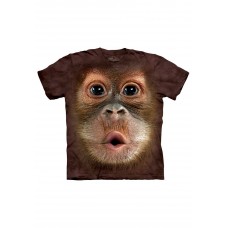 Big Face Baby Orangutan