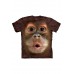 Big Face Baby Orangutan