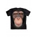 Big Face Chimp