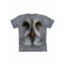 Big Face Owl