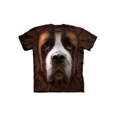 Big Face Saint Bernard