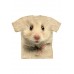 Big Face Hamster