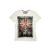 Dark Souls Kingdom