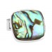 Silver Plated Abalone Shell Cufflinks 156152