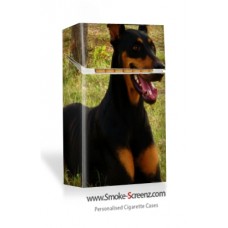 Doberman Pinscher