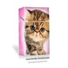 Pink Kitten