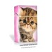 Pink Kitten