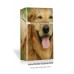 Retriever