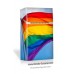 Gay Pride Flag