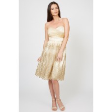 Tfnc Lila Gold Midi Dress