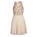 Lace & Beads Peach Nude Dress